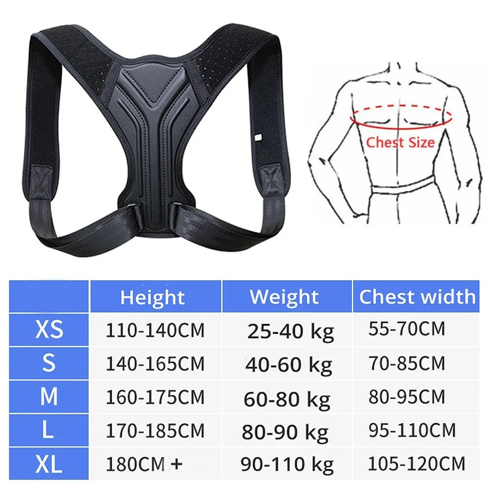 back belt