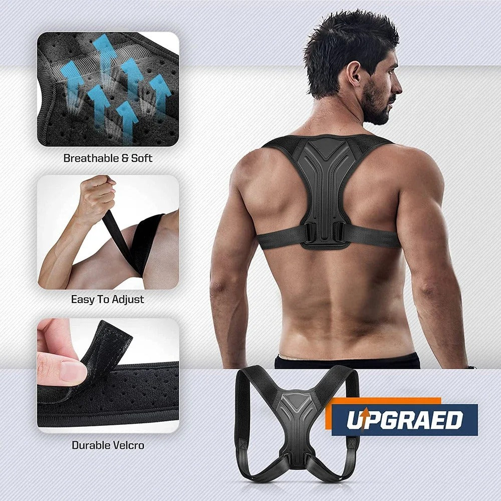 back belt